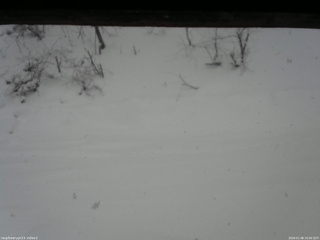 長野県菅平高原 ゆたか山荘 南側 2026/01/08 10:00