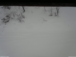 長野県菅平高原 ゆたか山荘 南側 2026/01/08 10:30