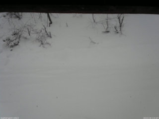 長野県菅平高原 ゆたか山荘 南側 2026/01/08 11:00