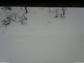 長野県菅平高原 ゆたか山荘 南側 2026/01/08 11:15