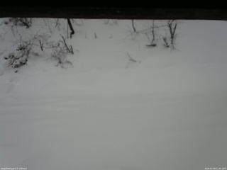 長野県菅平高原 ゆたか山荘 南側 2026/01/08 11:45