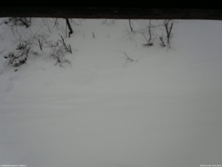 長野県菅平高原 ゆたか山荘 南側 2026/01/08 13:00