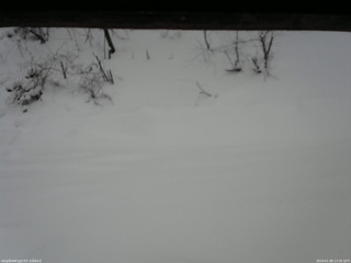 長野県菅平高原 ゆたか山荘 南側 2026/01/08 13:30