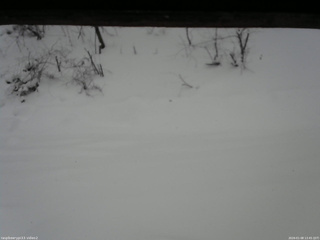 長野県菅平高原 ゆたか山荘 南側 2026/01/08 13:45