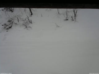 長野県菅平高原 ゆたか山荘 南側 2026/01/08 14:00