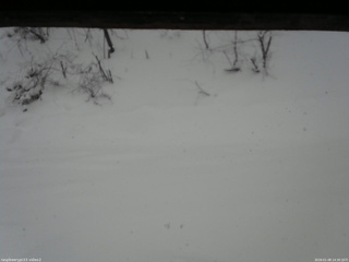 長野県菅平高原 ゆたか山荘 南側 2026/01/08 14:30