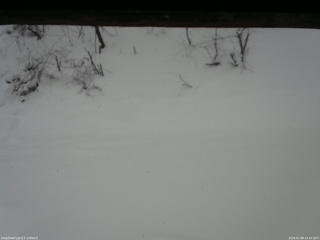 長野県菅平高原 ゆたか山荘 南側 2026/01/08 14:45