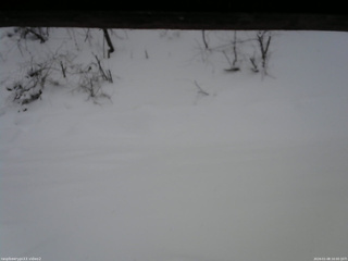 長野県菅平高原 ゆたか山荘 南側 2026/01/08 16:00