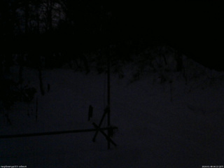 長野県菅平高原 ゆたか山荘 東側(坂下) 2026/01/08 06:15