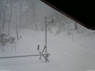 長野県菅平高原 ゆたか山荘 東側(坂下) 2026/01/08 09:45