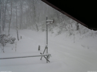 長野県菅平高原 ゆたか山荘 東側(坂下) 2026/01/08 10:00