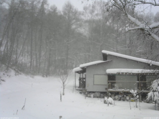 長野県菅平高原 ゆたか山荘 西側(坂上) 2026/01/08 14:15