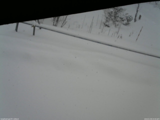 長野県菅平高原 ゆたか山荘 駐車場 2026/01/08 10:30