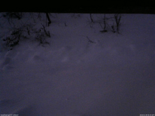 長野県菅平高原 ゆたか山荘 南側 2026/01/09 06:30