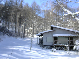 長野県菅平高原 ゆたか山荘 西側(坂上) 2026/01/09 12:00