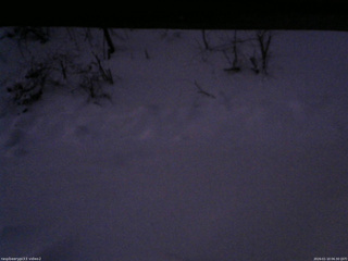 長野県菅平高原 ゆたか山荘 南側 2026/01/10 06:30