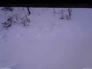 長野県菅平高原 ゆたか山荘 南側 2026/01/10 06:45