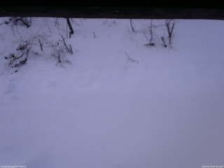 長野県菅平高原 ゆたか山荘 南側 2026/01/10 07:00