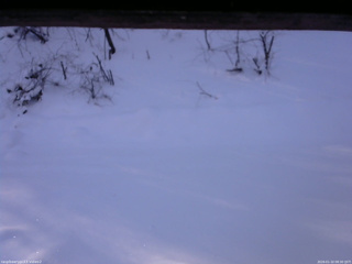 長野県菅平高原 ゆたか山荘 南側 2026/01/10 08:30