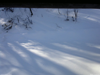 長野県菅平高原 ゆたか山荘 南側 2026/01/10 09:00