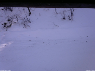 長野県菅平高原 ゆたか山荘 南側 2026/01/10 12:45