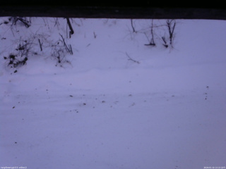 長野県菅平高原 ゆたか山荘 南側 2026/01/10 13:15