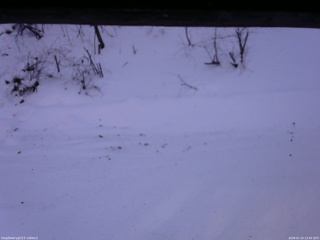 長野県菅平高原 ゆたか山荘 南側 2026/01/10 13:45