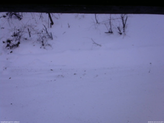 長野県菅平高原 ゆたか山荘 南側 2026/01/10 14:15