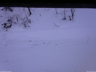 長野県菅平高原 ゆたか山荘 南側 2026/01/10 14:30