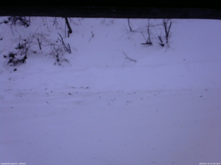 長野県菅平高原 ゆたか山荘 南側 2026/01/10 15:30