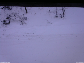 長野県菅平高原 ゆたか山荘 南側 2026/01/10 16:00