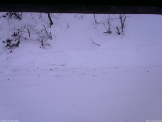 長野県菅平高原 ゆたか山荘 南側 2026/01/10 16:45