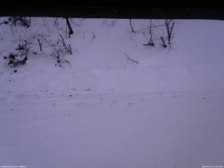 長野県菅平高原 ゆたか山荘 南側 2026/01/10 17:00