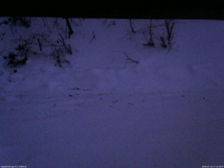 長野県菅平高原 ゆたか山荘 南側 2026/01/10 17:15