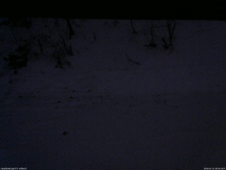 長野県菅平高原 ゆたか山荘 南側 2026/01/11 06:30