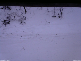 長野県菅平高原 ゆたか山荘 南側 2026/01/11 07:00