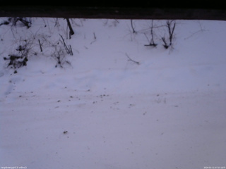 長野県菅平高原 ゆたか山荘 南側 2026/01/11 07:15