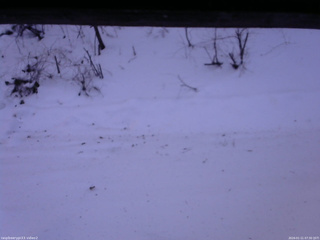 長野県菅平高原 ゆたか山荘 南側 2026/01/11 07:30