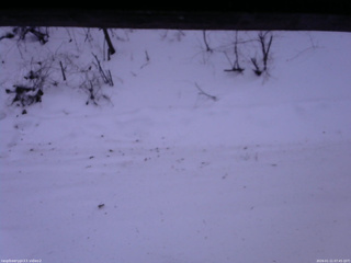 長野県菅平高原 ゆたか山荘 南側 2026/01/11 07:45