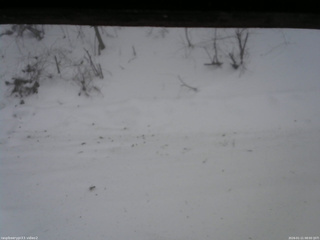 長野県菅平高原 ゆたか山荘 南側 2026/01/11 08:00