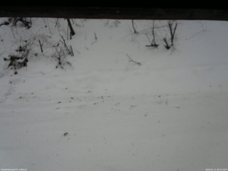 長野県菅平高原 ゆたか山荘 南側 2026/01/11 08:15