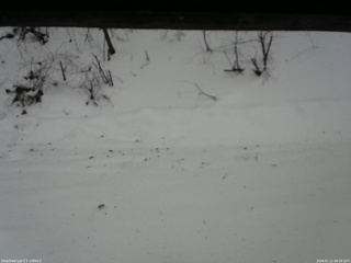 長野県菅平高原 ゆたか山荘 南側 2026/01/11 08:30