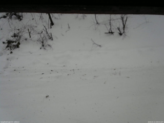 長野県菅平高原 ゆたか山荘 南側 2026/01/11 08:45