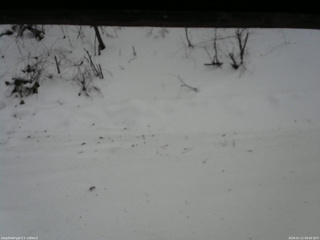 長野県菅平高原 ゆたか山荘 南側 2026/01/11 09:00