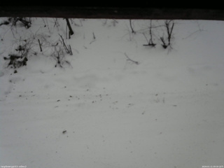 長野県菅平高原 ゆたか山荘 南側 2026/01/11 09:30