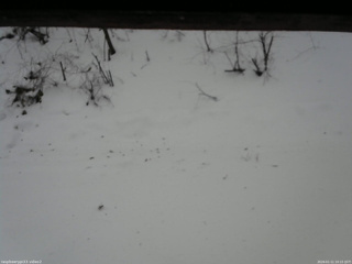 長野県菅平高原 ゆたか山荘 南側 2026/01/11 10:15