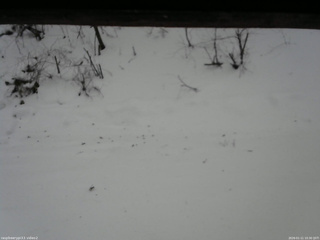 長野県菅平高原 ゆたか山荘 南側 2026/01/11 10:30