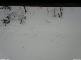 長野県菅平高原 ゆたか山荘 南側 2026/01/11 10:45