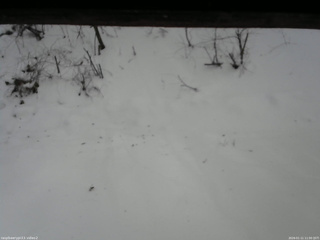 長野県菅平高原 ゆたか山荘 南側 2026/01/11 11:00