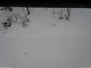 長野県菅平高原 ゆたか山荘 南側 2026/01/11 11:15